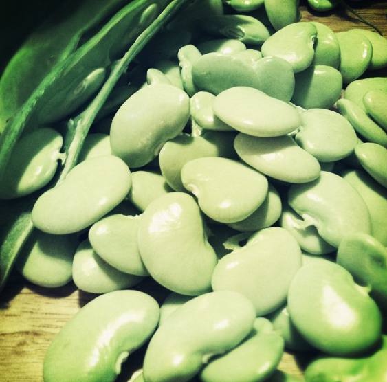 What Do Lima Beans Taste Like? Exploring the Flavor Profile of This ...